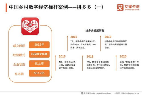 2022年中國(guó)鄉(xiāng)村數(shù)字經(jīng)濟(jì)發(fā)展專題研究報(bào)告