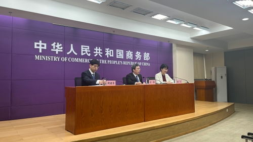 中非經貿深度合作先行區(qū)助力非洲產業(yè)現代化
